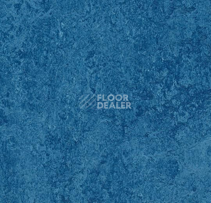 Кварцвиниловые полы Forbo Marmoleum Modular t3030 blue фото 1 | FLOORDEALER